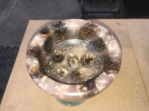 2020 - 20-09-42 - Pine Cones in Resin