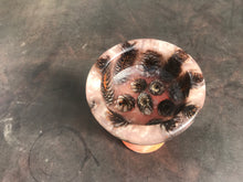 2020 - 20-09-42 - Pine Cones in Resin