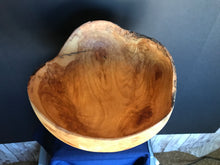 2020 - 20-11-60 - Live Edge Aspen Fruit Bowl