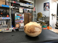 17-01-003 Aspen Globe
