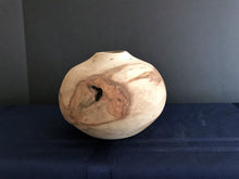 17-01-003 Aspen Globe