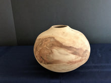 17-01-003 Aspen Globe