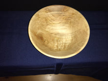 19-06-057 - Curly Aspen Cone