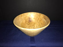 19-06-057 - Curly Aspen Cone