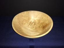 19-06-057 - Curly Aspen Cone