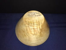 19-06-057 - Curly Aspen Cone