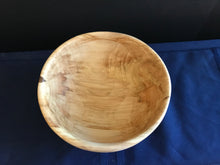 19-08-103 - Curly Grained Aspen